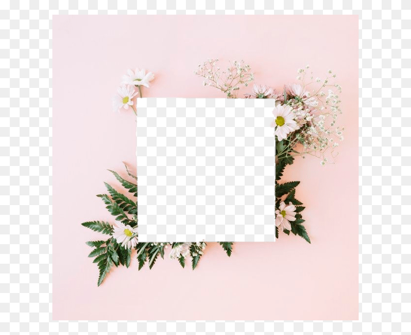 626x626 Tumblr Эстетические Цветы Цветок Polaroid Приглашение, Растение, Дерево, Цветение Png Скачать