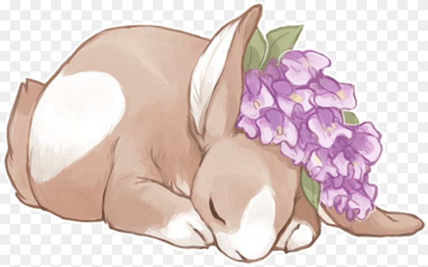 994x620 Tumblr Art Rabbit Rabbits Flower Flowers Bunny Hydrangea, Plant, Baby, Person, Animal Transparent PNG