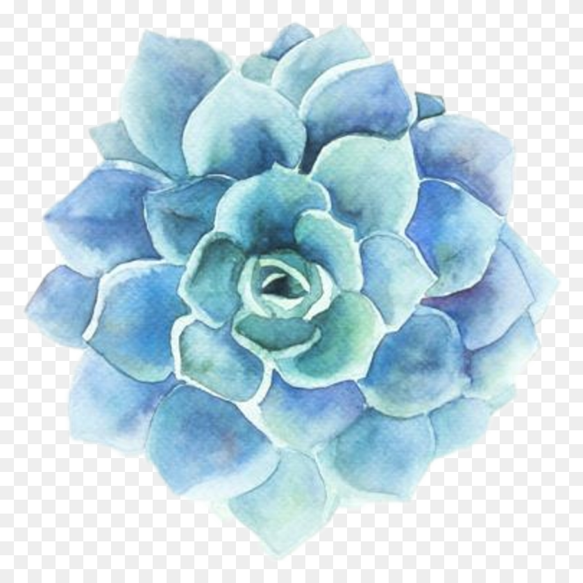 1024x1024 Tumblr Blue Flower Blueflower Library Stock Succulent Watercolor, Accessories, Accessory, Jewelry HD PNG Download