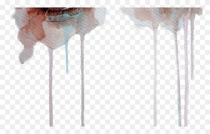800x491 Tumblr Eye Eyes Art Paint, Animal, Flamingo, Bird HD PNG Download