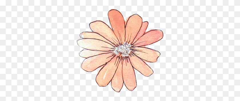 305x295 Tumblr Flower Watercolor Flower Draw Tumblr, Plant, Blossom, Petal Descargar Hd Png