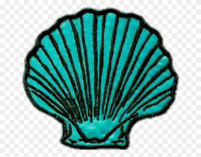 656x596 Tumblr Mermaid Marine Shell, Clam, Seashell, Invertebrate Descargar Hd Png