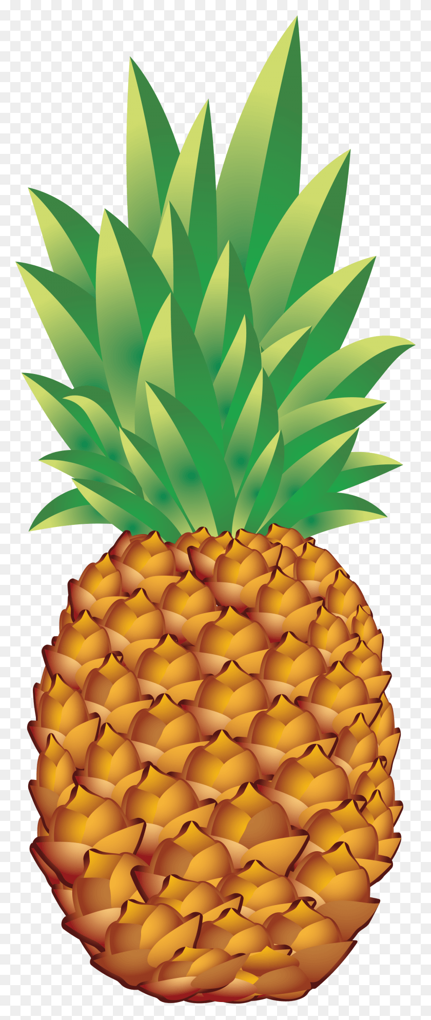 1716x4243 Tumblr Pineapple Food Photo Apple Pen Clip Pineapple Vector, Plant, Fruit HD PNG Download