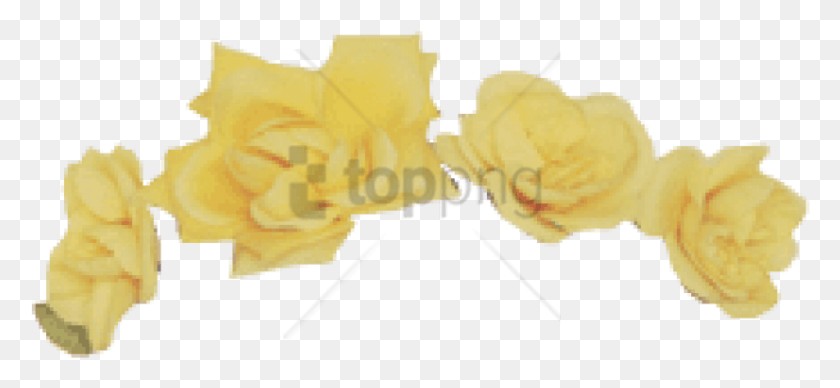 826x348 Tumblr Transparent Flower Crown Image With Transparent Maple, Popcorn, Food HD PNG Download