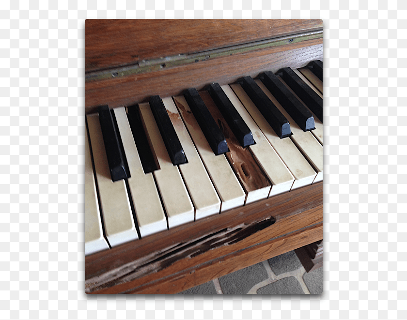 524x601 Tunes On A Tropical Piano Musical Keyboard, Leisure Activities, Musical Instrument, Grand Piano HD PNG Download