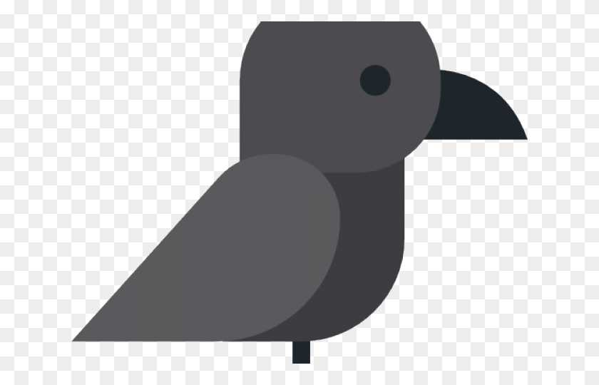 640x480 Turkey, Bird, Animal HD PNG Download