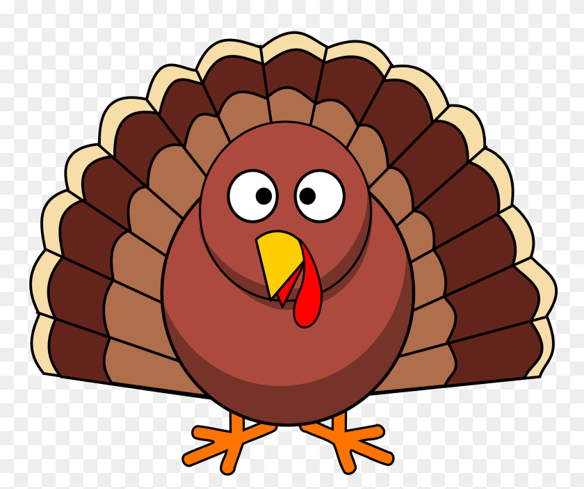 Turkey, Animal, Beak, Bird, Dynamite Clipart PNG