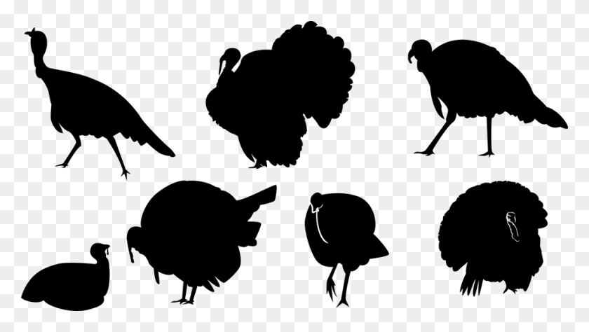 960x510 Turkey Ave Silhouette Chick Animal Wings Tail Turkey, Gray, World Of Warcraft HD PNG Download