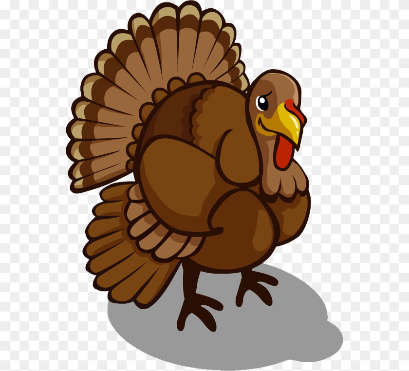 Turkey Bird Transparent Clip Art Turkey, Animal, Fowl, Poultry, Turkey Bird PNG