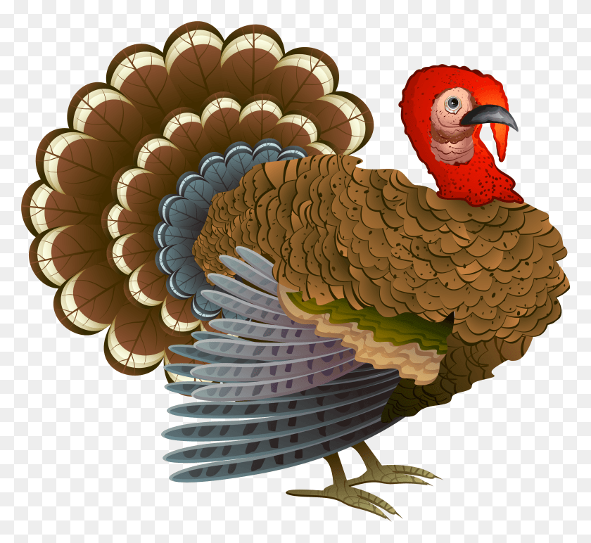 4524x4130 Turkey Clipart Clipart, Animal, Fungus, Bird HD PNG Download