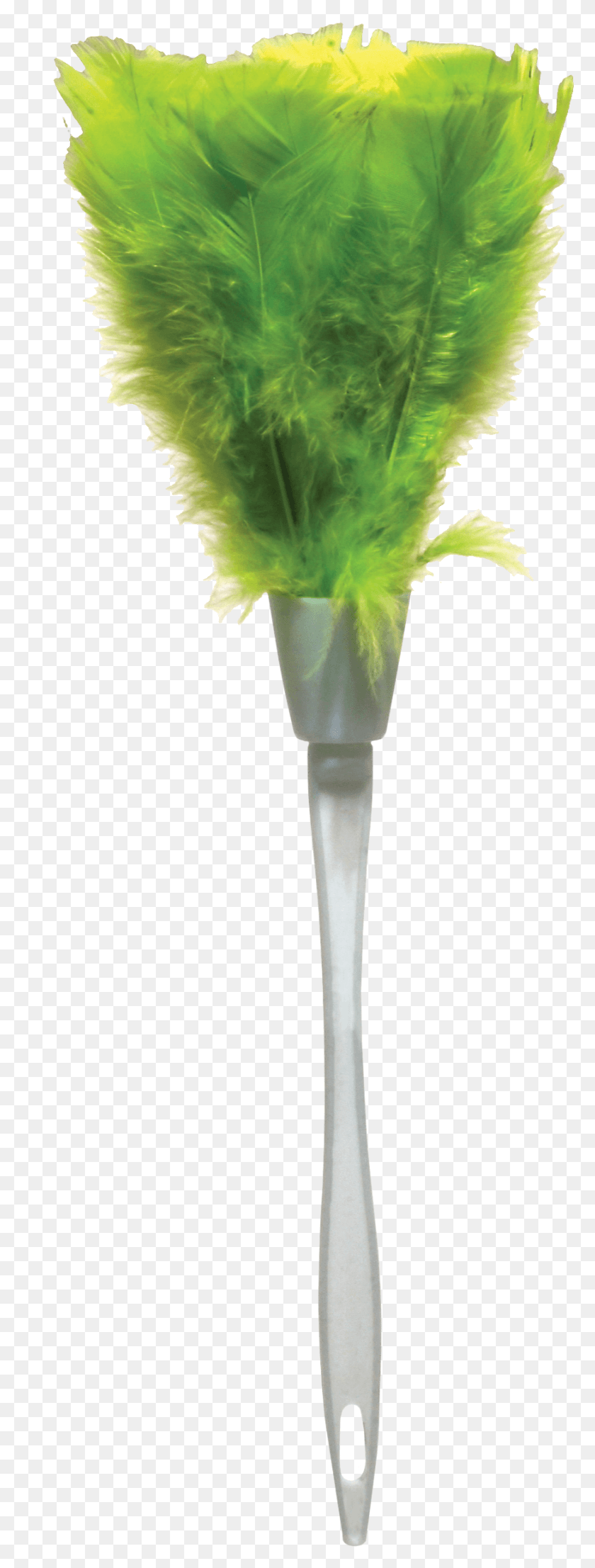 872x2408 Turkey Feather Duster Turkey Feather Duster, Plant, Flower, Blossom HD PNG Download