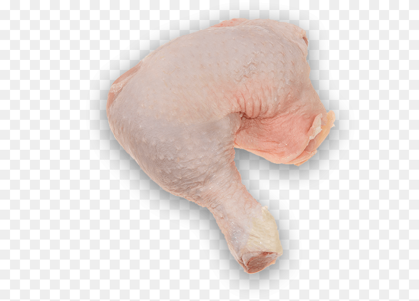593x603 Turkey Meat, Animal, Bird, Fowl, Poultry Transparent PNG