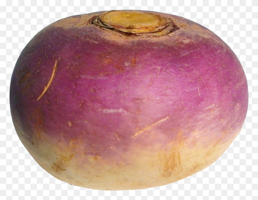 1281x975 Turnip Image Fruit, Produce, Vegetable, Food HD PNG Download