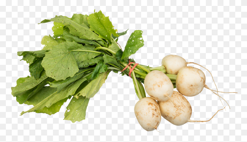 1658x898 Turnips Image Turnips, Plant, Vegetable, Food HD PNG Download