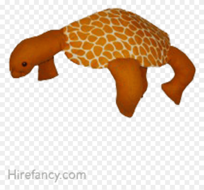 794x734 Черепаха Рисунок Животного, Грибок, Млекопитающее, Вода Hd Png Скачать