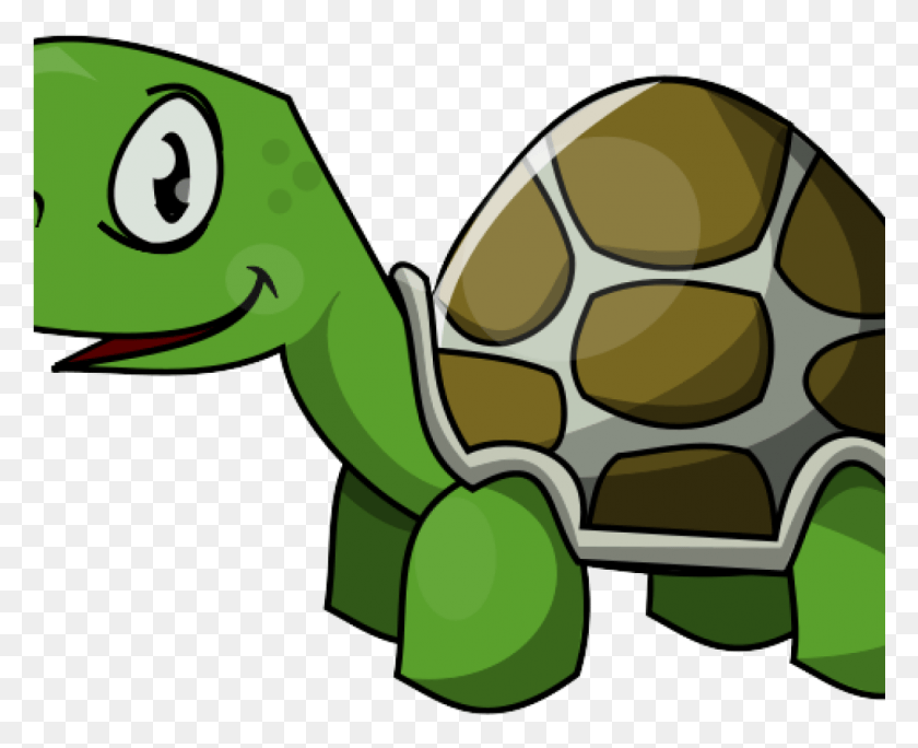 1025x821 Turtle Clipart Free Clip Art Panda Images For Teachers Turtle Clipart Free, Animal, Green Lizard, Lizard HD PNG Download