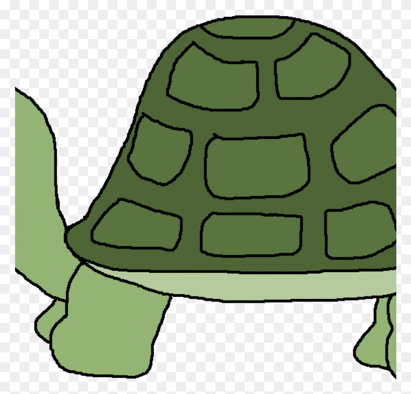 Turtle Clipart Transparent Background Turtle Clipart, Nature, Outdoors, Snow HD PNG Download