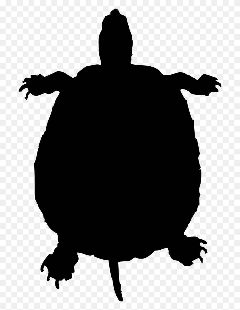 710x1024 Turtle From Birds Eye View, Gray, World Of Warcraft HD PNG Download