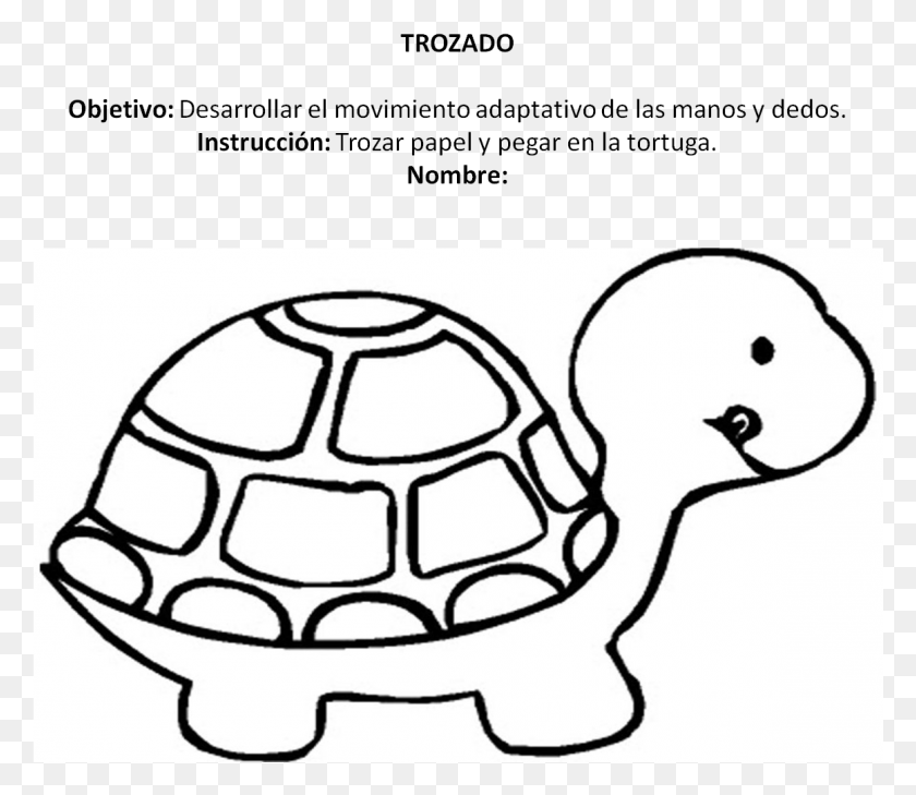 1161x996 Turtle Images For Colouring, Nature, Outdoors, Tortoise HD PNG Download