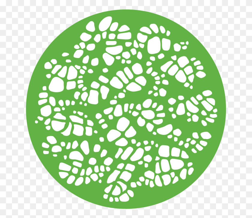 669x669 Turtle Shell Turtle, Plant, Face HD PNG Download