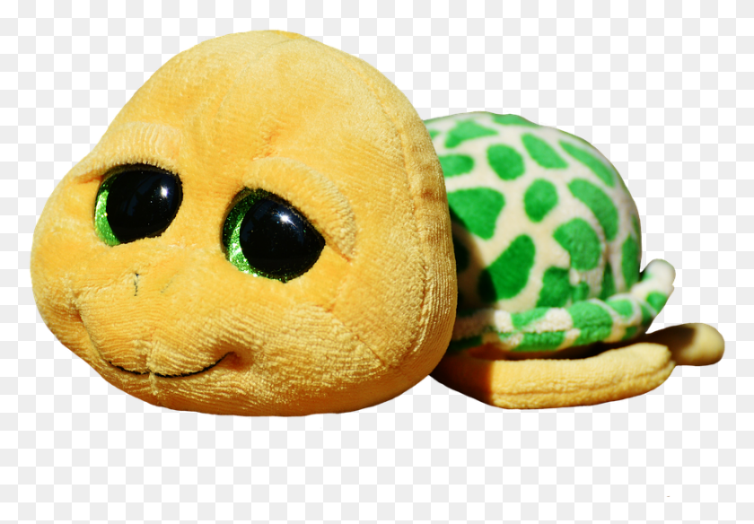 860x578 Turtle Stuffed Animal Soft Toy Toys Cute Hnh Nh Con Ra Con D Thng, Bear, Wildlife, Mammal HD PNG Download