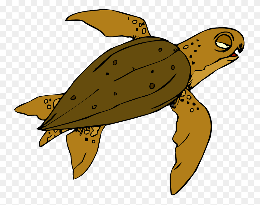 750x602 Черепаха Плавание, Животное, Морская Жизнь, Черепаха Png Скачать