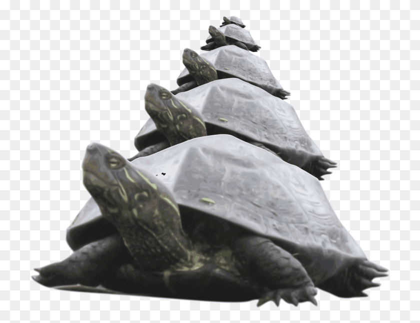 719x585 Turtlereptiletortoise Pyramid Of Turtles, Tortoise, Turtle, Reptile HD PNG Download
