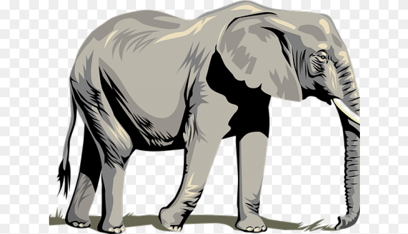 641x481 Tusk Clipart Asia Animal Clipart Elephant Background, Adult, Male, Man, Person Sticker PNG