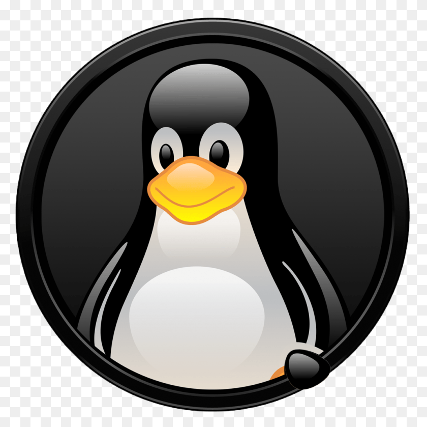 1000x1000 Descargar Png Tux Linux Logo Menú De Inicio Iconos De Linux, Pingüino, Pájaro, Animal Hd Png