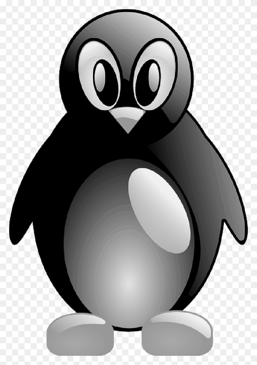 800x1160 Pingüino Tux, Pájaro, Animal, Pingüino Rey Hd Png
