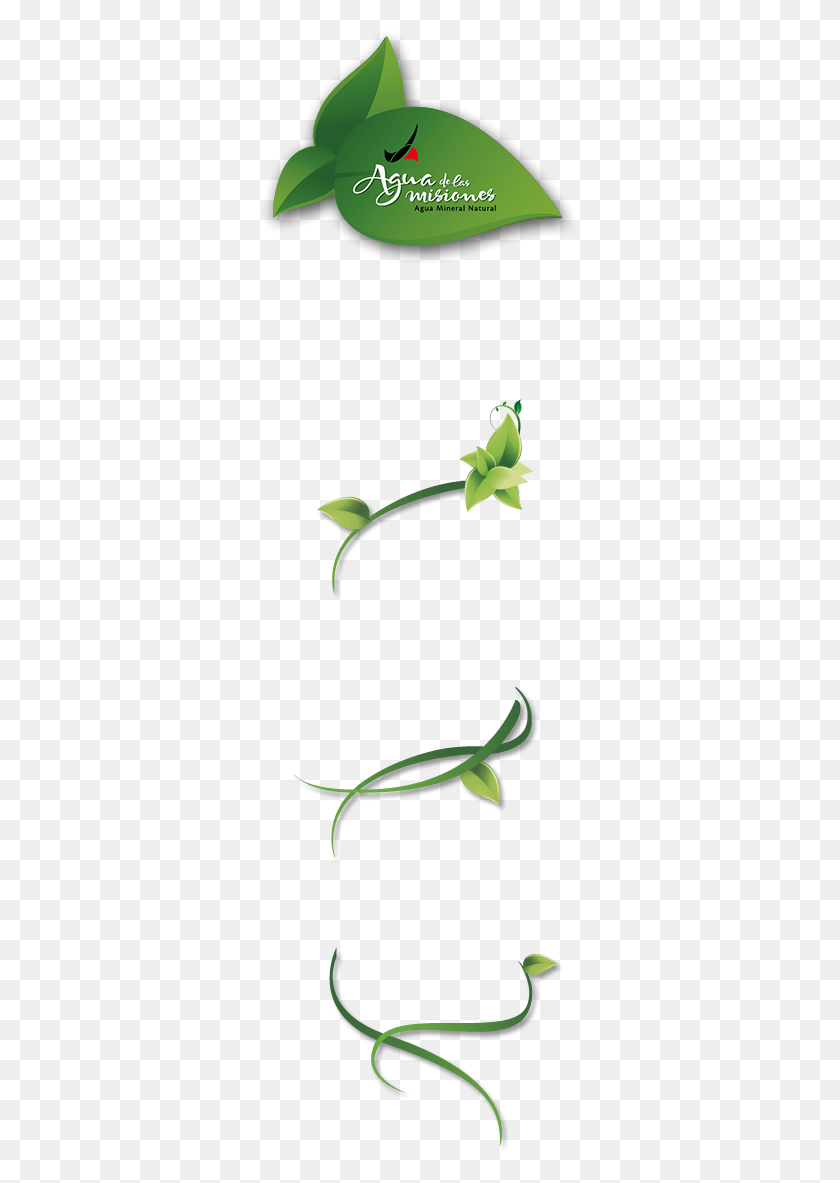 315x1123 Tweets Por Delasmisiones Dendrobium, Растение, Зеленый, Цветок Png Скачать
