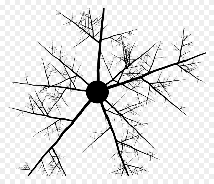 884x750 Twig Branch Abstract Art Tree Line Art Abstract Branches, Gray, World Of Warcraft HD PNG Download