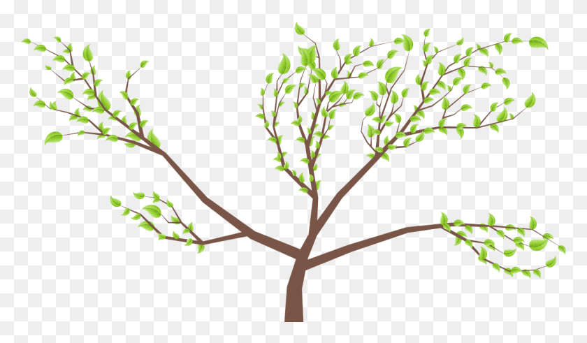 1147x635 Twig Twig, Plant, Tree, Leaf HD PNG Download