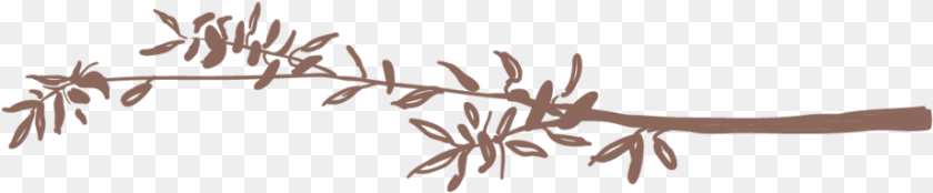 921x191 Twigs 2 01 Calligraphy, Flower, Plant, Leaf, Grass Sticker PNG