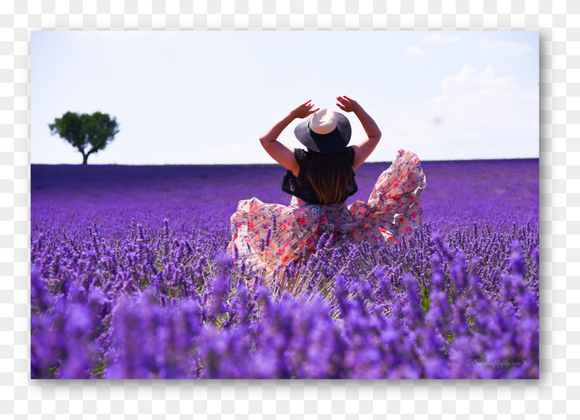 1734x1222 Twirling Away In Ocean Of Lavender In Provence English Lavender, Plant, Person, Human HD PNG Download