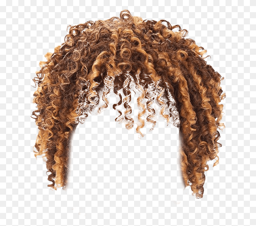 647x683 Twist Hair Transparent Background Hair Styles Curly Hair Boys, Wig HD PNG Download