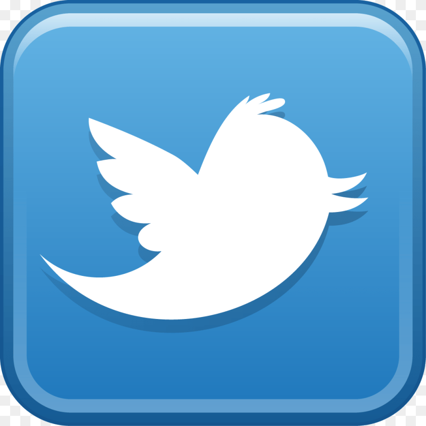 Twitter, Animal, Fish, Sea Life, Shark Transparent PNG