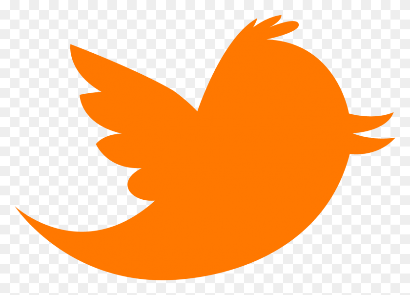1321x923 Twitter Bird Background Wallpaper Twitter Black Logo Vector, Plant, Pumpkin, Vegetable Hd Png Download