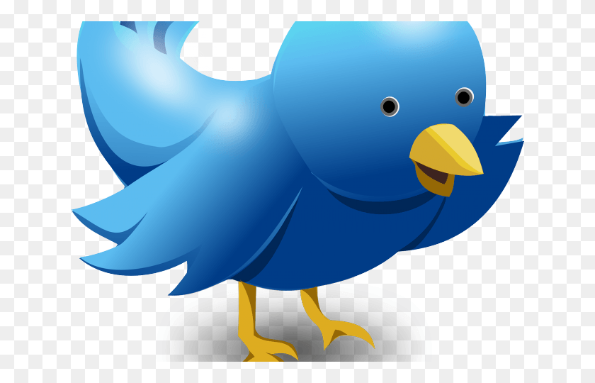 640x480 Twitter Клипарт Символ Twitter Профиль Twitter, Птица, Животное, Попугай Hd Png Скачать