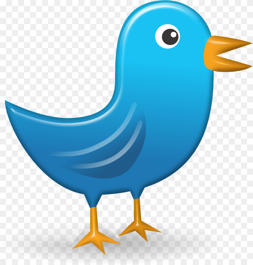 Twitter Icon Web Network Bird Image Bird Tweet, Animal, Beak, Fish, Sea Life Transparent PNG
