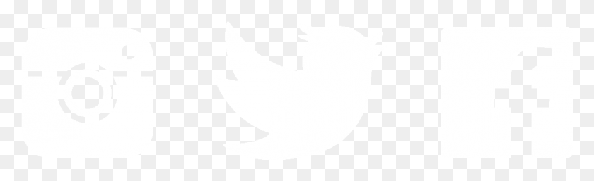 Twitter Logo Black And White Transparent White Facebook Instagram Twitter Logo, Animal, Person, Human HD PNG Download