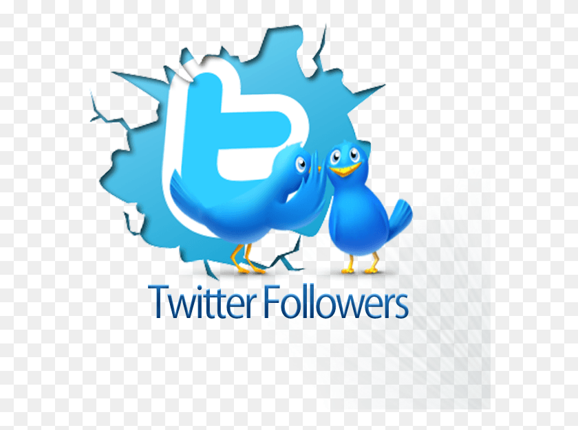 586x566 Twitter Logo No Background, Graphics, Animal HD PNG Download