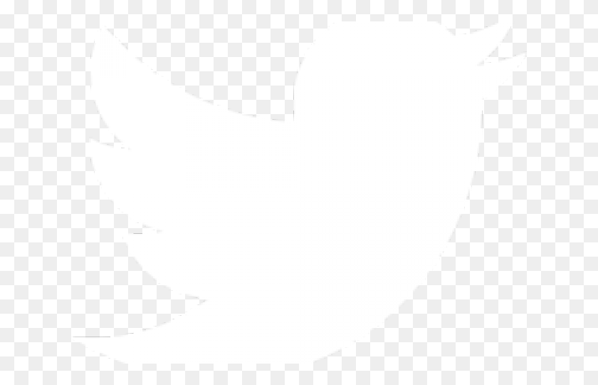 640x480 Twitter Transparent Images Twitter Logo White Eps, Label, Text, Symbol HD PNG Download