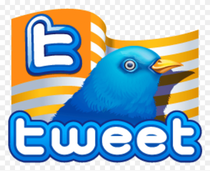 1010x806 Twitter Векторные Иконки Массивный Набор Иконок Twitter Значок, Синяя Птица, Птица, Животное Hd Png Скачать