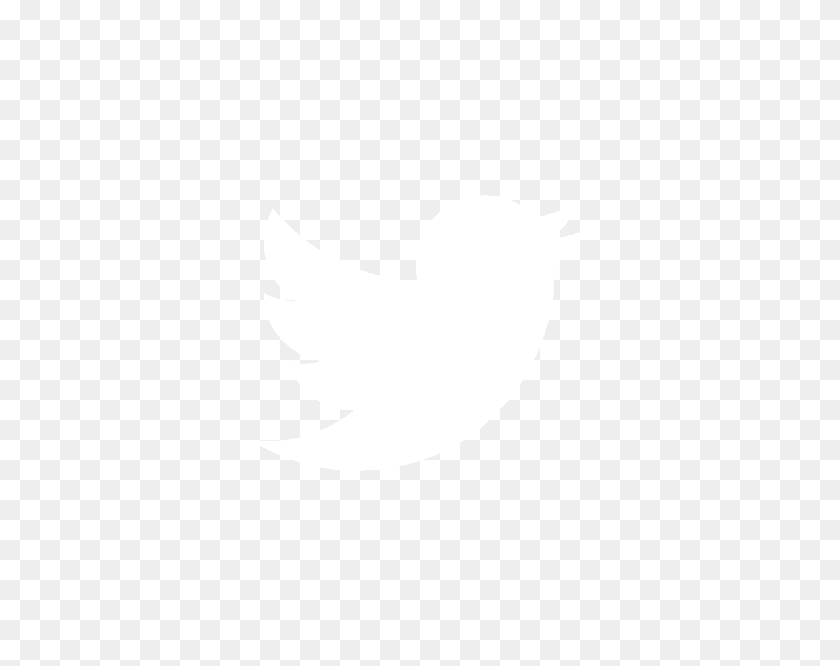 607x606 Twitterbird Accor Hotels White Logo, Symbol, Trademark, Animal HD PNG Download