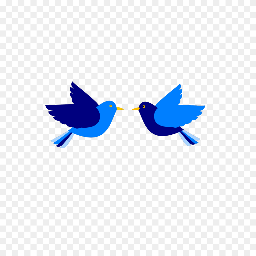 1600x1600 Two Blue Birds Svg Clip Art For Web Download Clip Art Birds Flying, Animal, Bird, Beak, Jay Clipart PNG