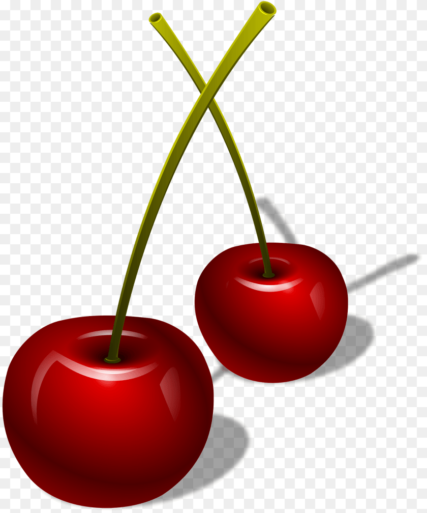 1600x1920 Two Cherries With Stems Cherry, Food, Fruit, Plant Clipart PNG