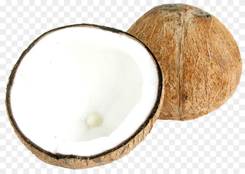 Two Half Coconuts Image, Coconut, Food, Fruit, Plant Transparent PNG