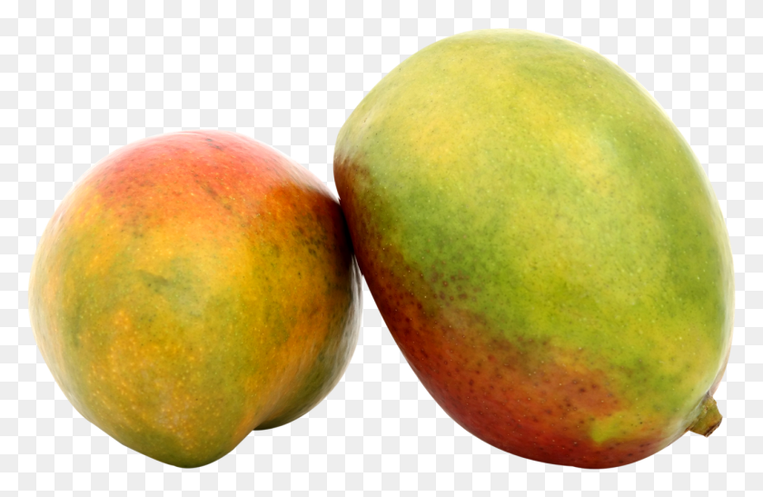 1313x821 Two Mango Image Mango, Apple, Fruit, Plant HD PNG Download
