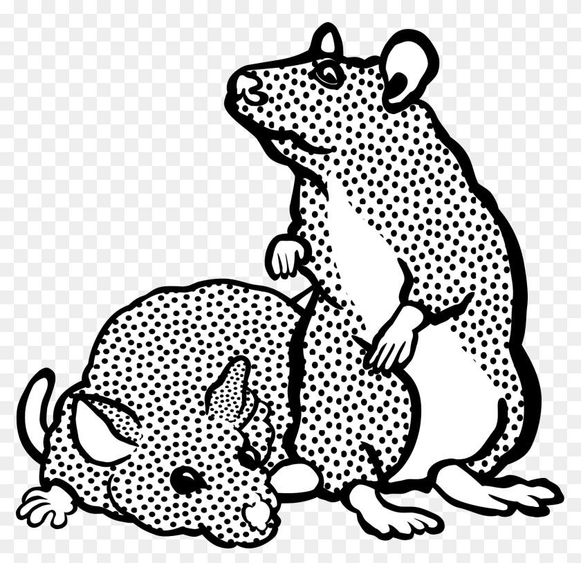 Two Mice Black And White Animal, Mammal, Wildlife, Kangaroo Clipart PNG